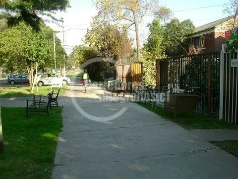 Foto 6 de 19