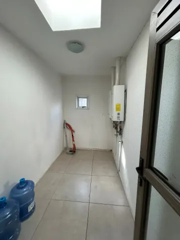 Foto 3 de 19
