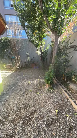 Foto 24 de 29