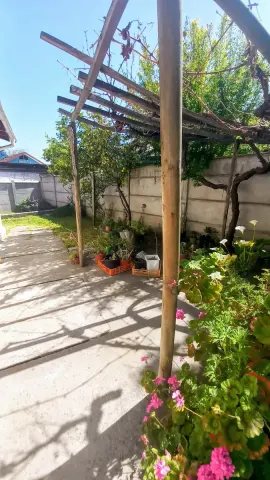 Foto 25 de 48
