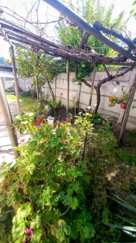 Foto 26 de 48