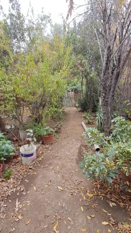 Foto 17 de 29