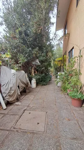 Foto 27 de 29