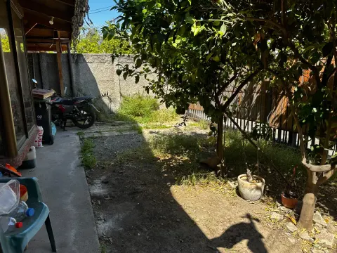 Foto 13 de 60