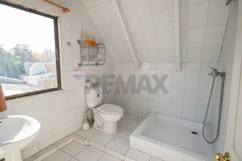Foto 41 de 60