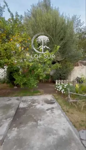 Foto 25 de 48