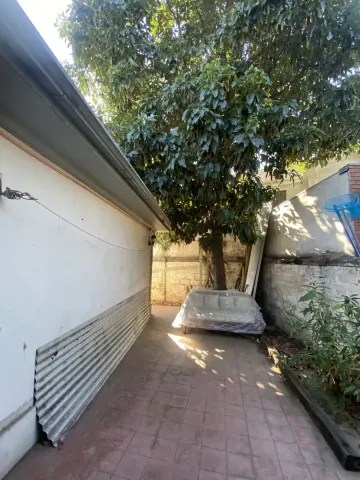 Foto 18 de 20