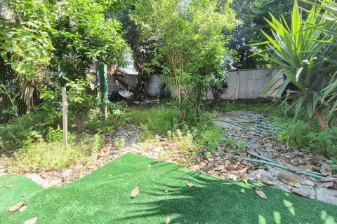 Foto 43 de 60